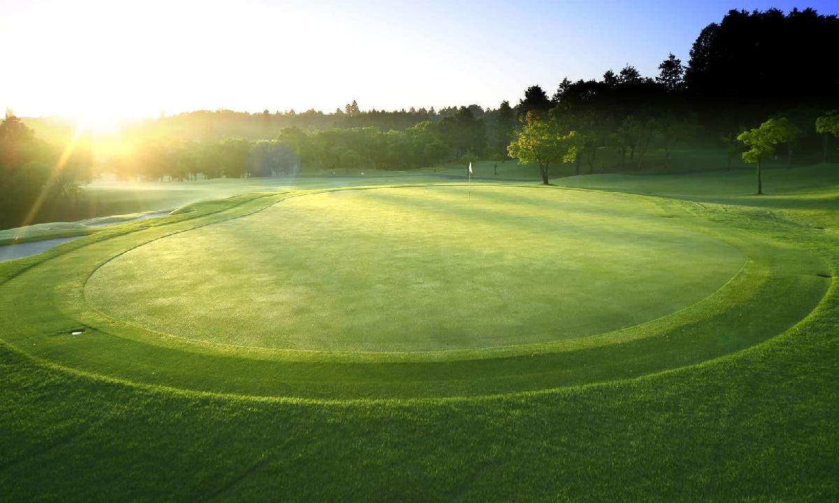 日本成田/清澄/鸣泽/船桥乡村·4球5晚 - undefined