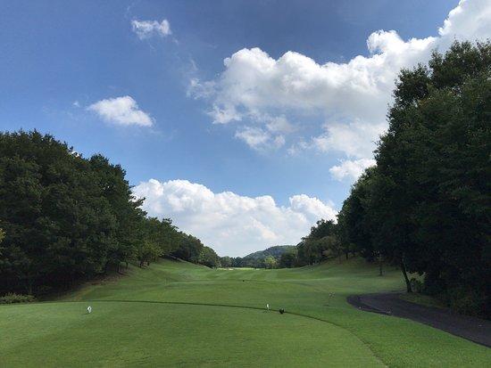 日本成田/清澄/鸣泽/船桥乡村·4球5晚 - 全国335座高尔夫球场实时预订-高球爱好者一站式订场平台