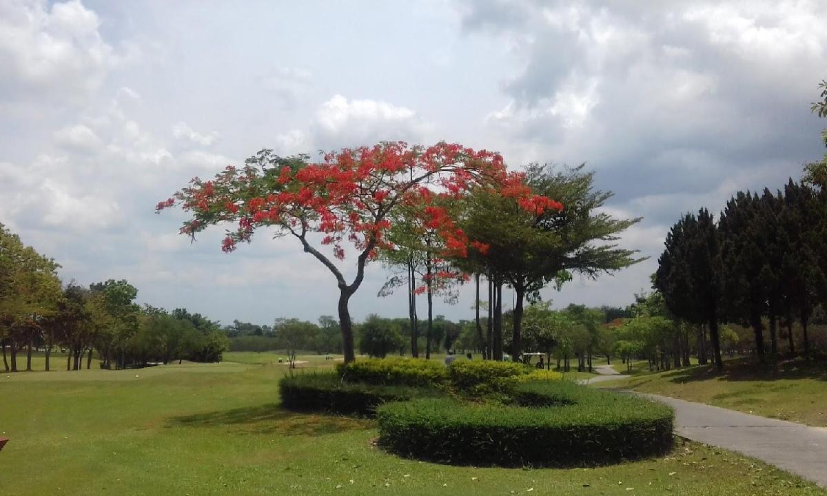班邦格林伍德高尔夫球会 - 深圳观澜湖高尔夫订场服务-广东专业高尔夫预订平台