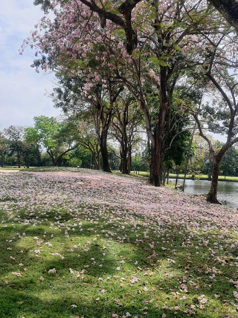 曼谷空谭普克丽莎高尔夫球会 - 深圳观澜湖高尔夫订场服务-广东专业高尔夫预订平台