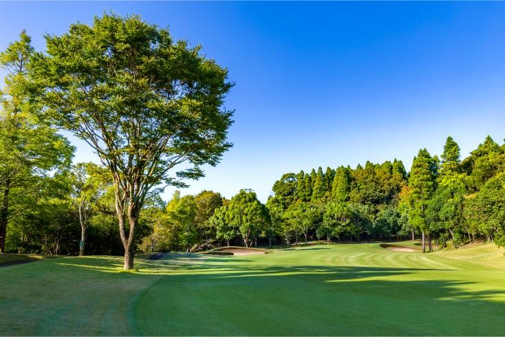 玛纳高尔夫球会(玛纳场) - undefined