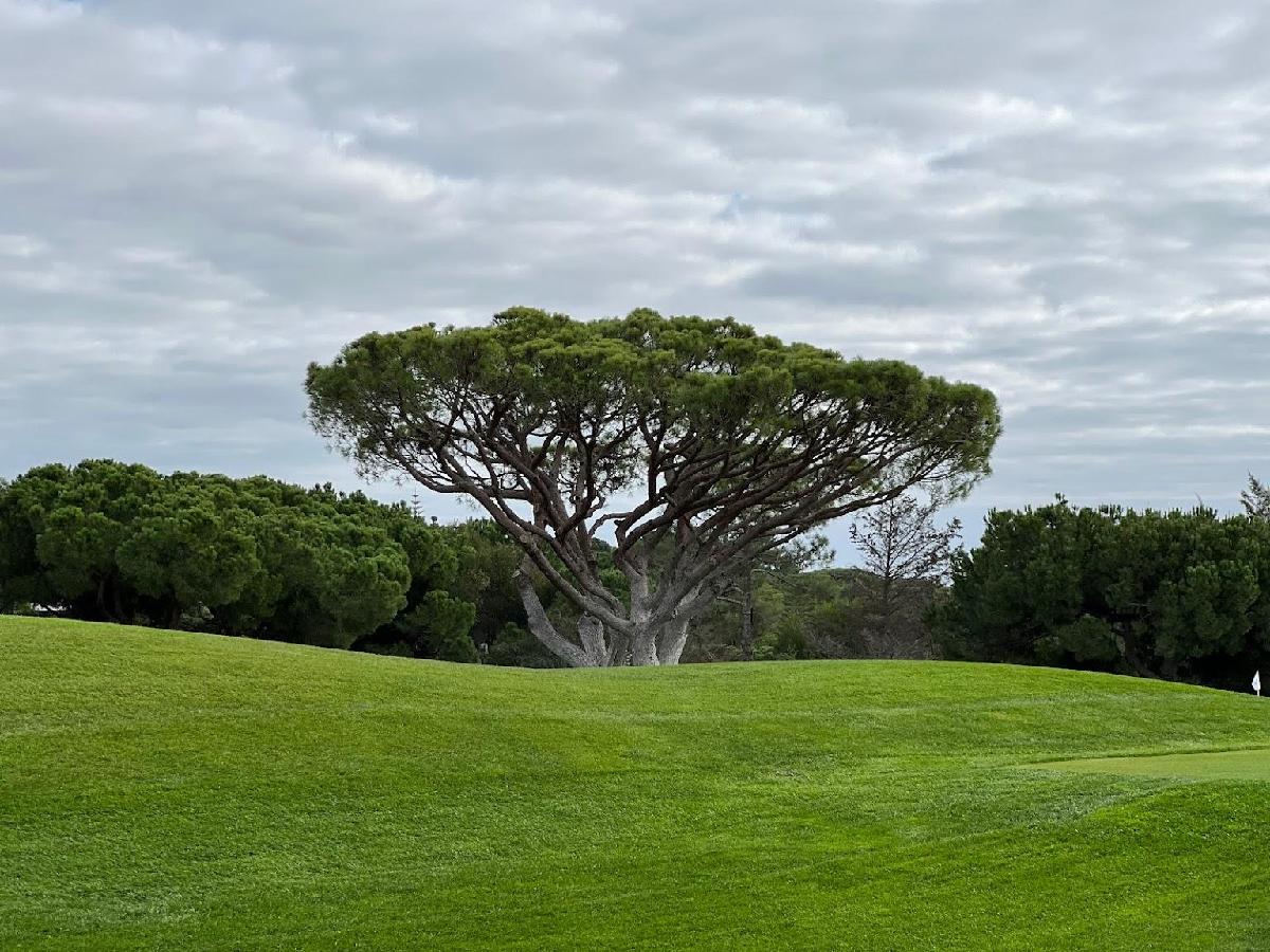 法鲁昆塔杜拉格·2球3晚 - undefined