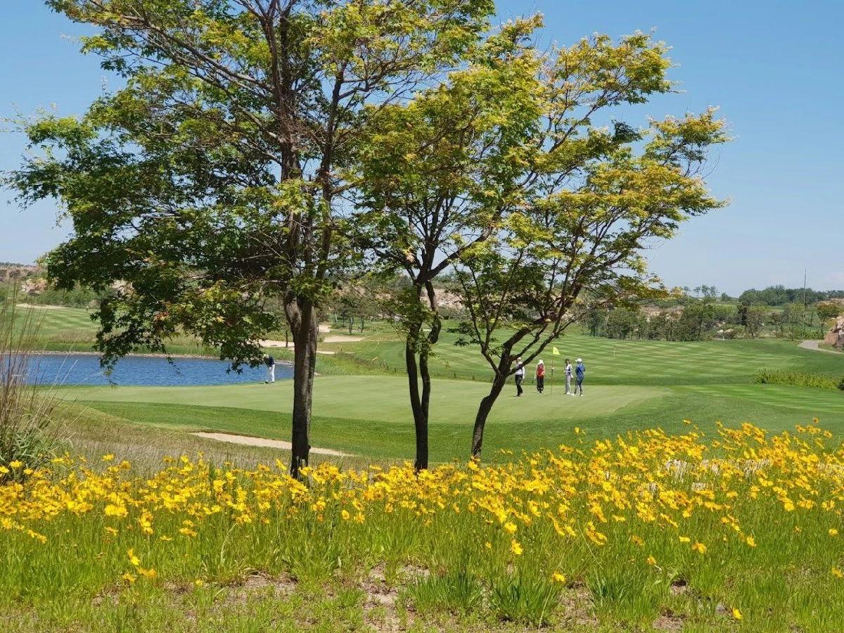 韩国首尔72天空/金熊最佳/橙子沙丘·3球3晚 - 全国335座高尔夫球场实时预订-高球爱好者一站式订场平台