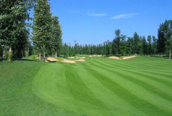 青岛天泰/国际·2球1晚 - undefined