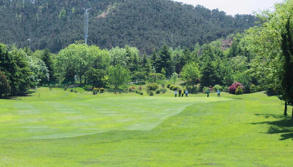 青岛天泰/国际·2球1晚 - 海口观澜湖高尔夫球场预订-海南高尔夫旅游攻略推荐