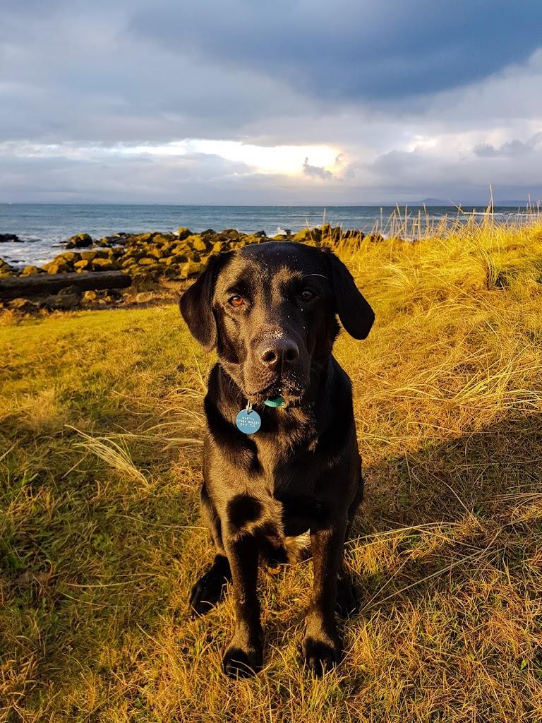 爱丁堡莫里菲尔德·1球2晚 - undefined