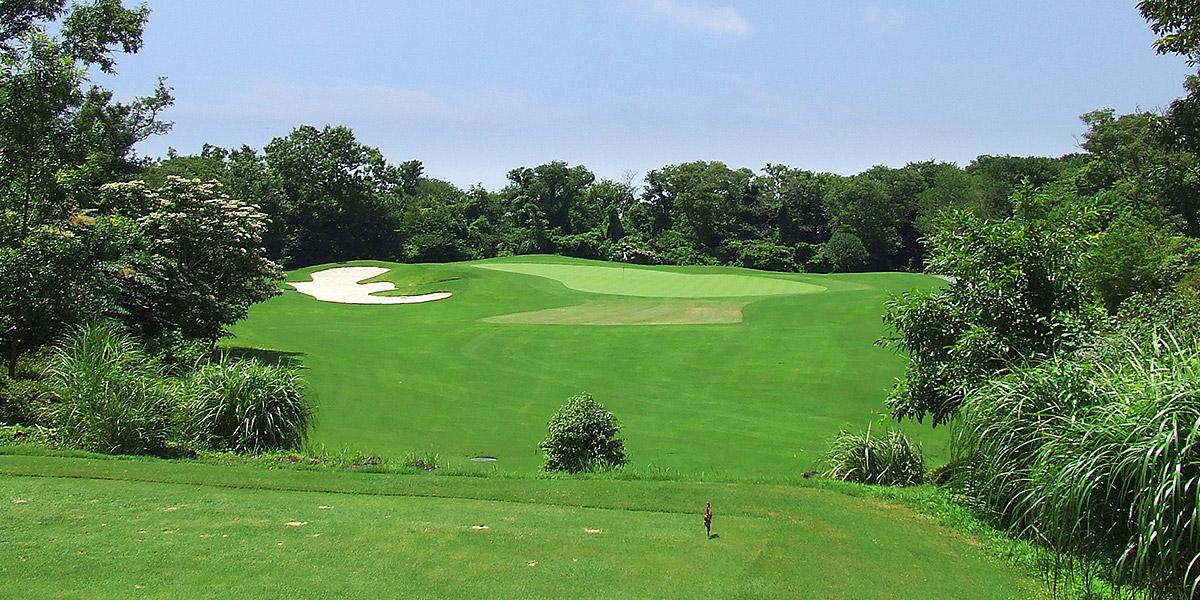 济州岛黑石/泰迪谷/乐天·3球3晚 - 深圳观澜湖高尔夫订场服务-广东专业高尔夫预订平台