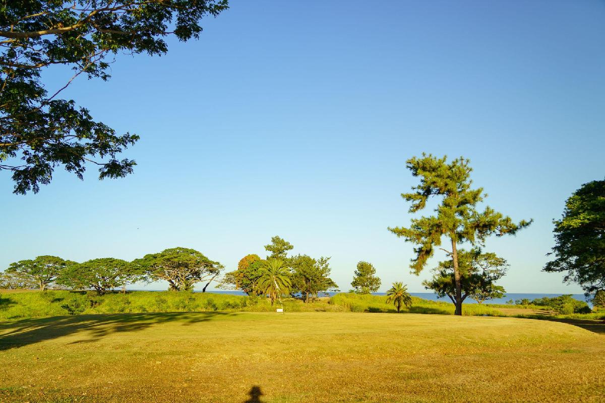 斐济楠迪机场·1球1晚 - undefined