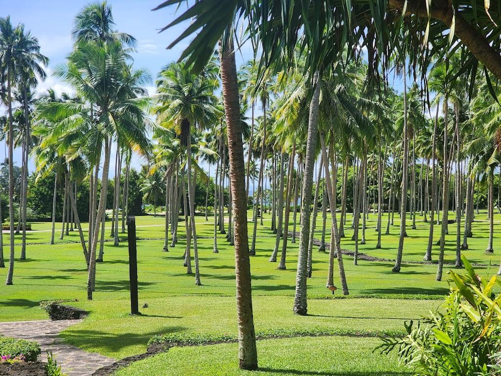 斐济COMO劳卡拉私人岛·1球1晚 - undefined