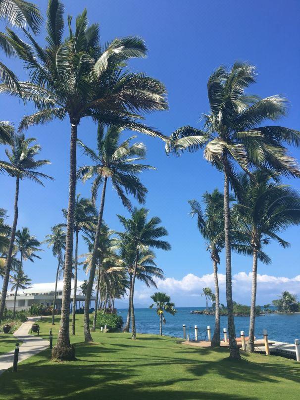 斐济南太平洋·2球2晚 - 海口观澜湖高尔夫球场预订-海南高尔夫旅游攻略推荐