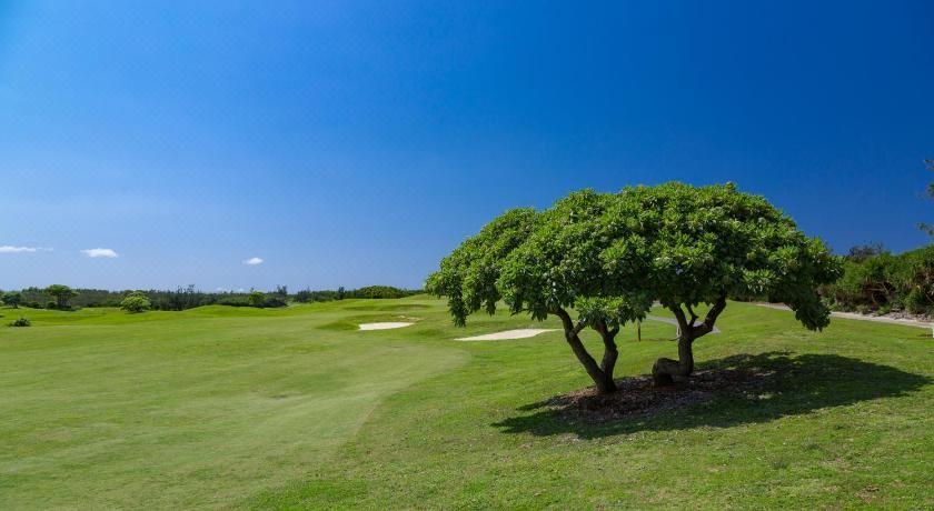 宫古岛海洋林克斯·2球2晚 - undefined