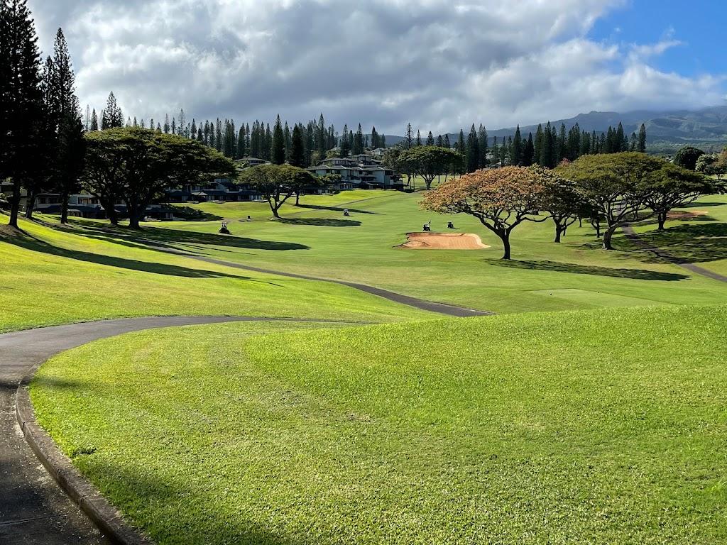 ​夏威夷卡帕鲁亚·1球1晚 - undefined