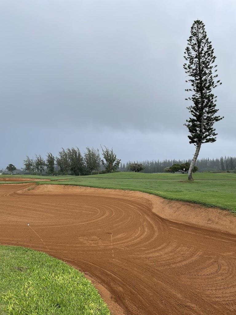 ​夏威夷卡帕鲁亚·1球1晚 - 深圳观澜湖高尔夫订场服务-广东专业高尔夫预订平台