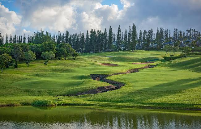 ​夏威夷卡帕鲁亚·1球1晚 - 星际高球联盟-中国精英人士高尔夫旅游度假实景