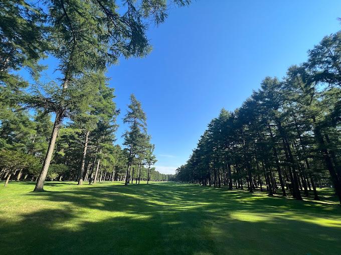 日本北海道经典/Nidom/北方乡村/御前水·4球5晚 - undefined