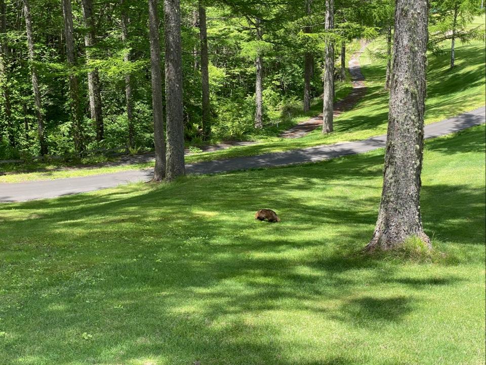 铃兰高原·2球2晚 - 高尔夫1球1晚特惠套票-星际高球联盟精选旅游套餐