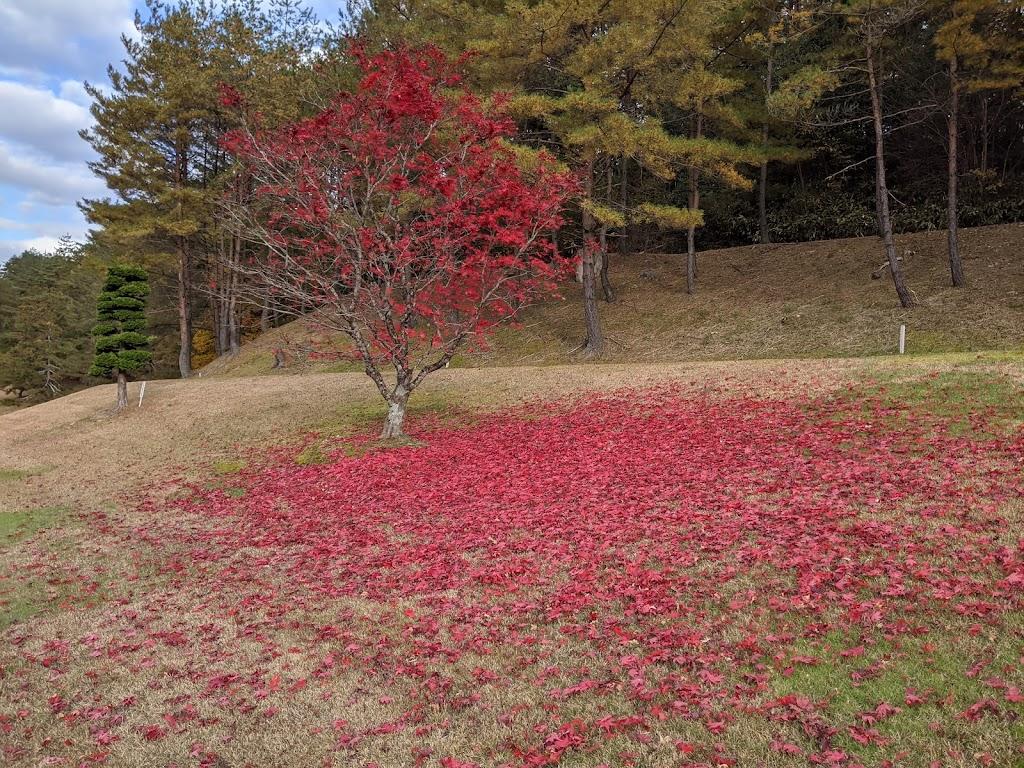 飞弹高山·2球2晚 - undefined