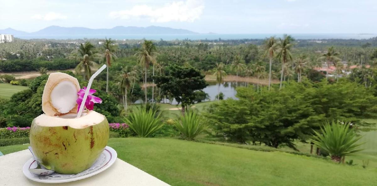 苏梅岛桑迪布里·2球2晚 - 全国335座高尔夫球场实时预订-高球爱好者一站式订场平台