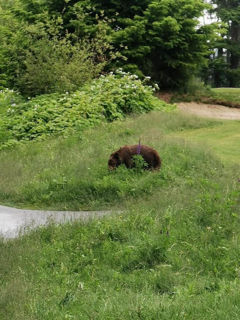 费尔蒙惠斯勒城堡·1球1晚 - undefined