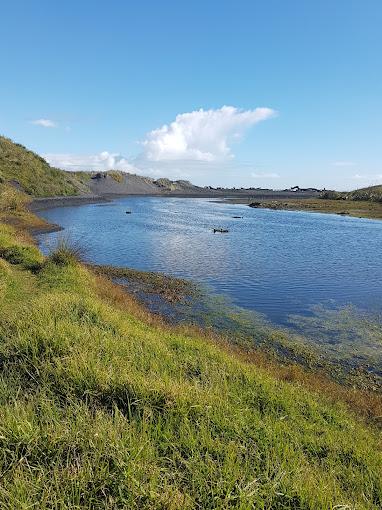 新西兰北岛蒂蒂朗基/皇家奥克兰/穆里怀/特阿莱·4球6晚 - undefined