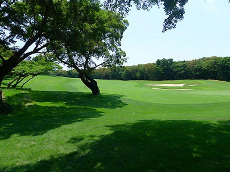 济州岛黑石/泰迪谷/吾罗·3球3晚 - 高尔夫1球1晚特惠套票-星际高球联盟精选旅游套餐