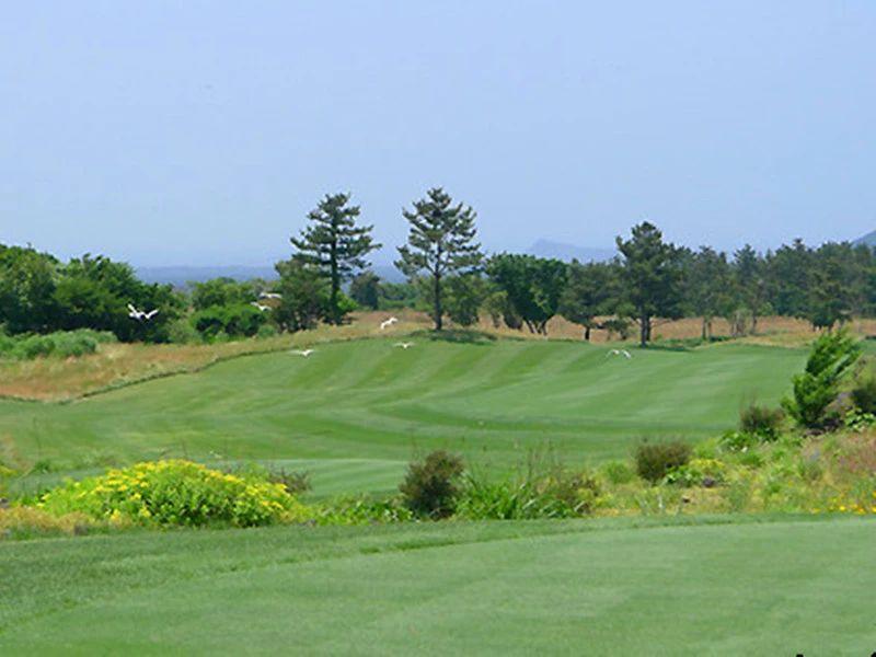 济州岛黑石/泰迪谷/吾罗·3球3晚 - 深圳观澜湖高尔夫订场服务-广东专业高尔夫预订平台