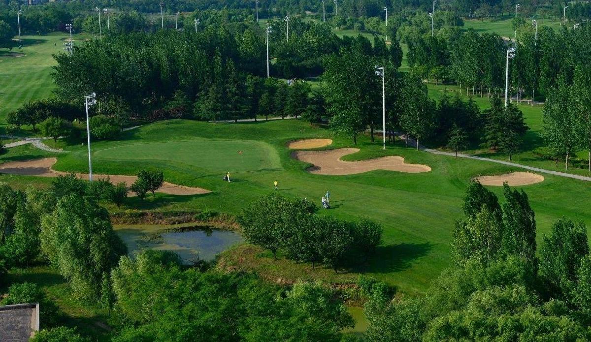 青岛华山·1球1晚 - undefined