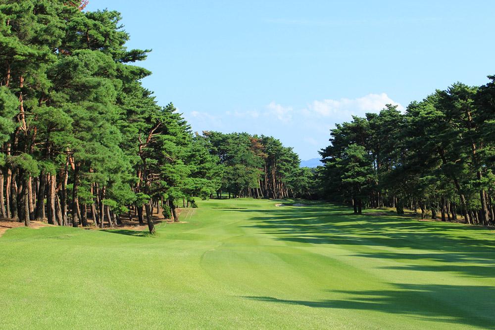 日本新泻日本海/中条/紫云·3球4晚 - undefined