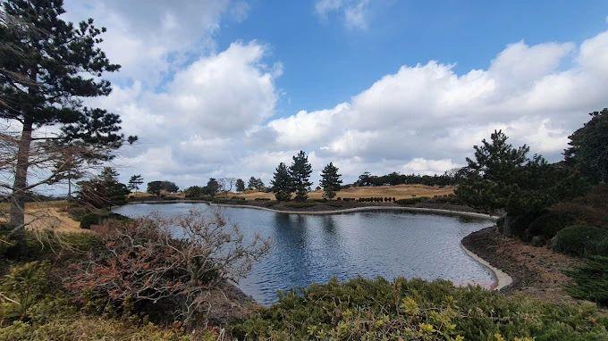 济州岛乐天/黑石/爱威利斯·3球3晚 - 星际高球联盟-中国精英人士高尔夫旅游度假实景