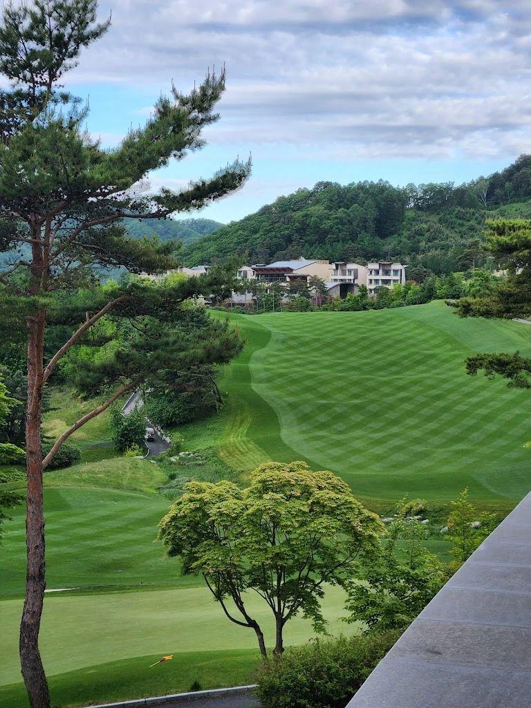 韩国首尔卡斯卡迪亚/索诺菲利斯/洪川圣木·3球4晚 - undefined