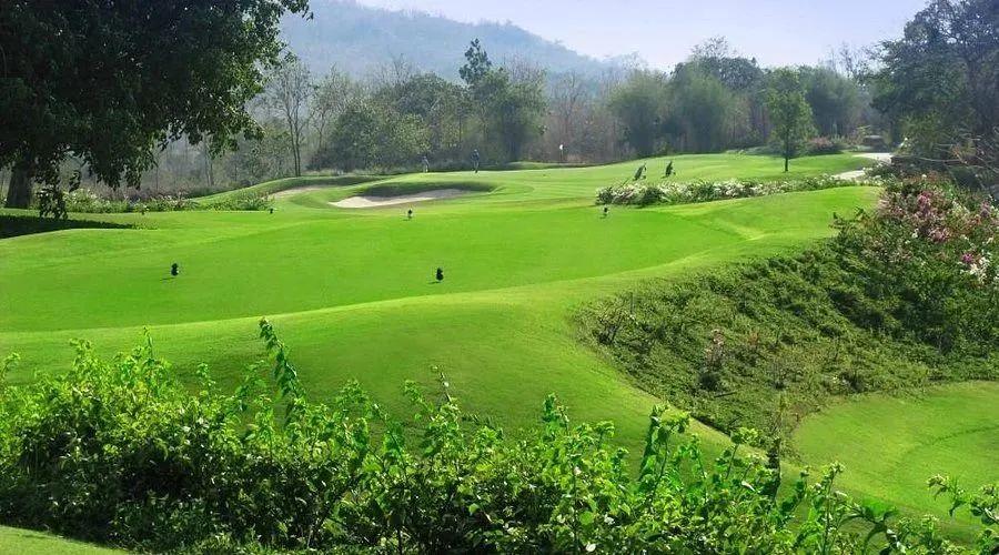 泰国华欣斯普林菲尔德/凤梨谷/黑山/曼谷苏旺·4球5晚 - undefined