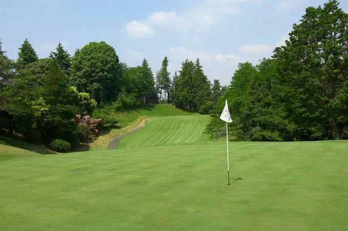 日本富士樱乡村/鸣泽/相武乡村·3球4晚 - undefined