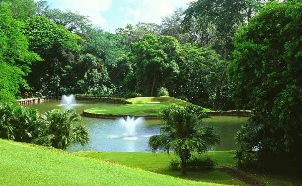 美国 | 夏威夷度假高尔夫·4球5晚 - 深圳观澜湖高尔夫订场服务-广东专业高尔夫预订平台