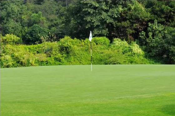 惠州涛景·1球1晚 - 星际高球联盟-中国精英人士高尔夫旅游度假实景