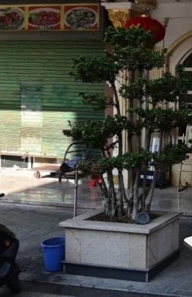 金月亮足浴保健城(富豪花园e区店) - 全国335座高尔夫球场实时预订-高球爱好者一站式订场平台
