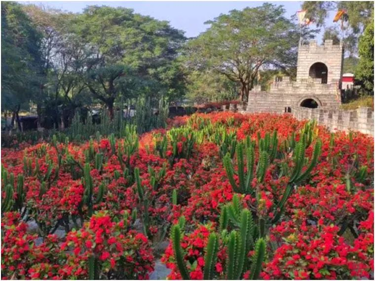 梦幻百花洲 - 全国335座高尔夫球场实时预订-高球爱好者一站式订场平台