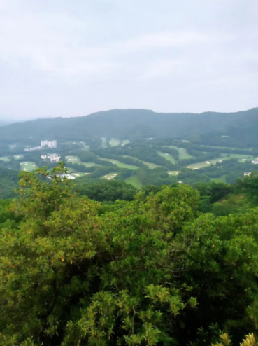 大屏嶂森林公园 - undefined