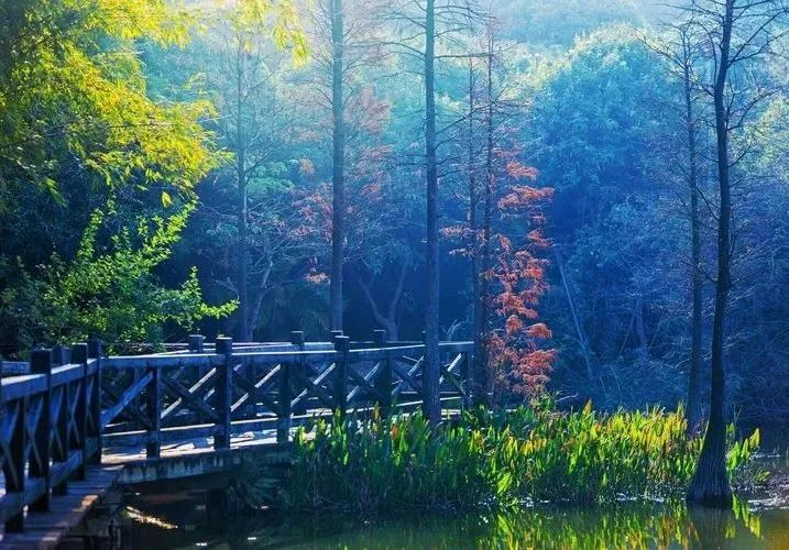 松湖烟雨 - 高尔夫1球1晚特惠套票-星际高球联盟精选旅游套餐