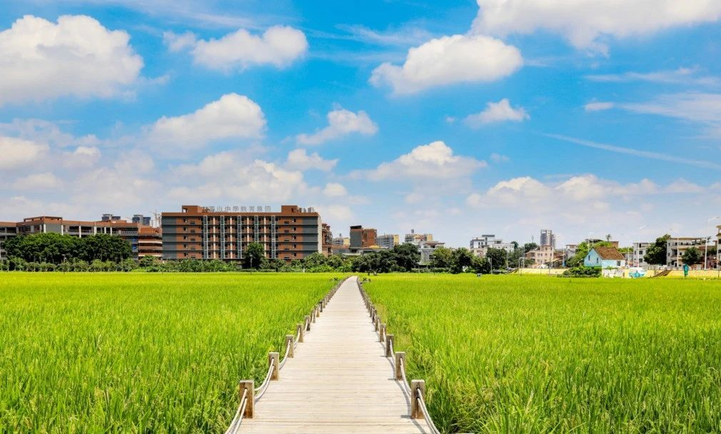 上元稻田公园 - 高尔夫1球1晚特惠套票-星际高球联盟精选旅游套餐