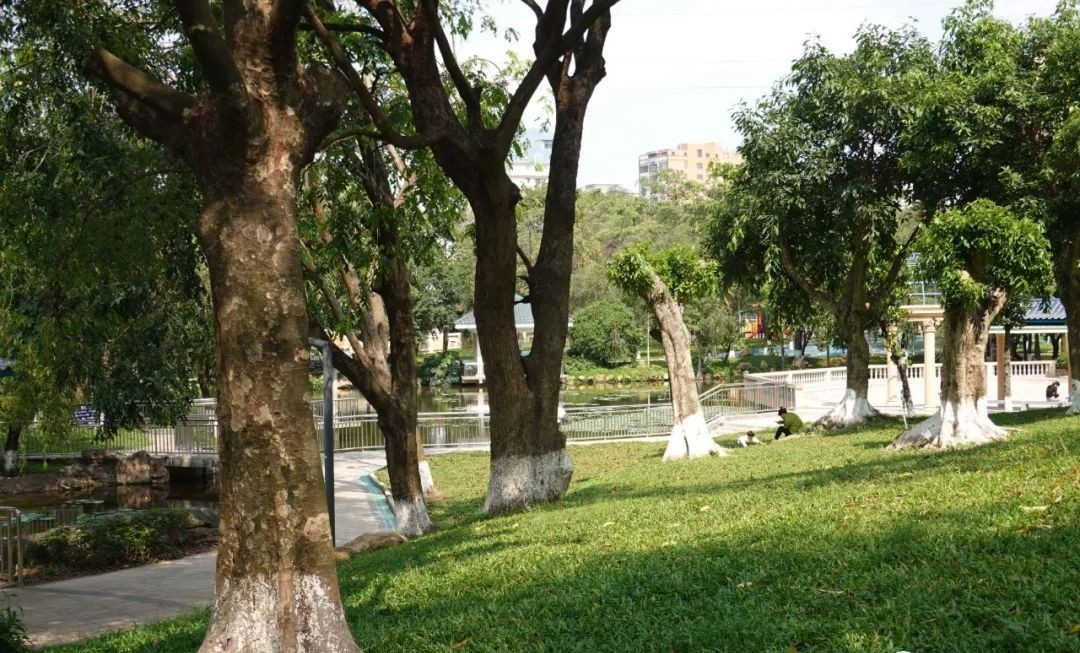 居岐公园 - 全国335座高尔夫球场实时预订-高球爱好者一站式订场平台