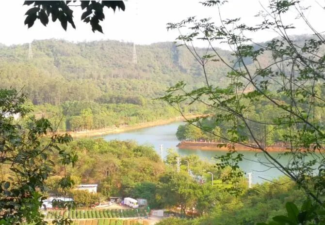  南门山森林公园 - 深圳观澜湖高尔夫订场服务-广东专业高尔夫预订平台