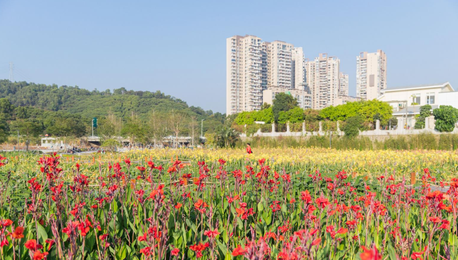 楼村湿地公园 - 全国335座高尔夫球场实时预订-高球爱好者一站式订场平台