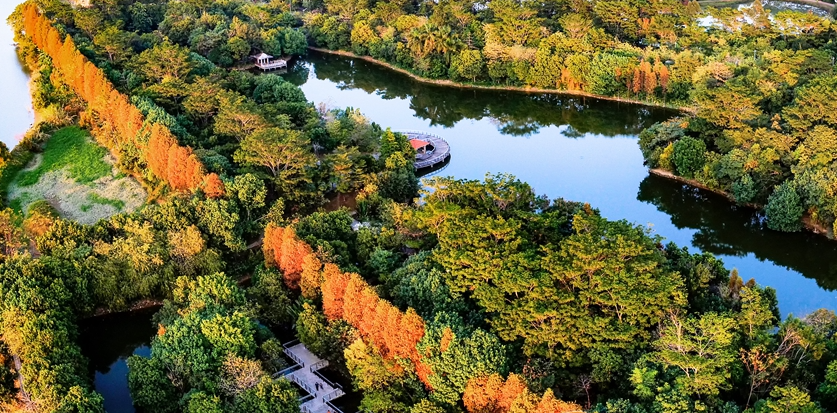 道滘北岛公园 - 星际高球联盟-中国精英人士高尔夫旅游度假实景