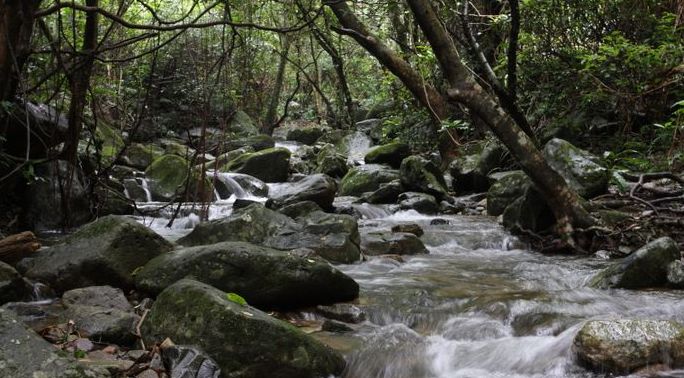 老虎涧 - 全国335座高尔夫球场实时预订-高球爱好者一站式订场平台