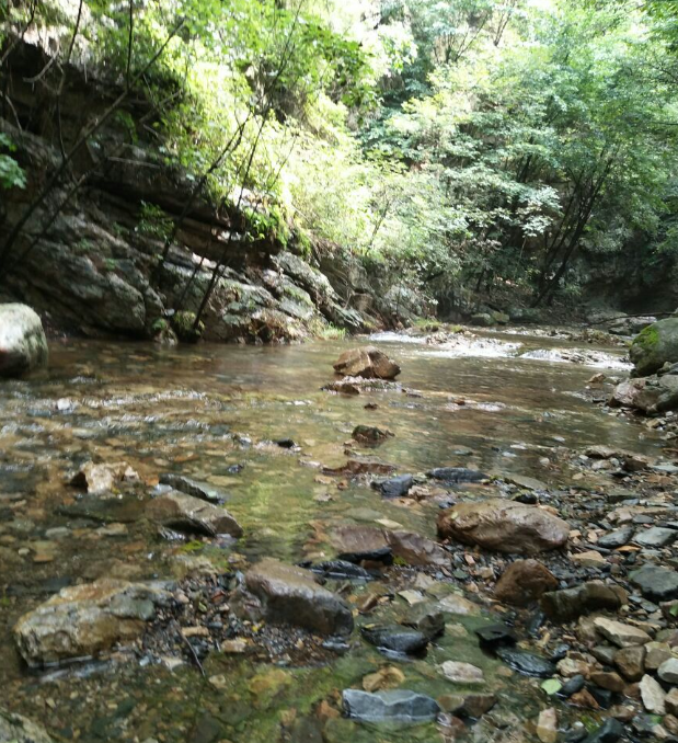 九龙潭 - 全国335座高尔夫球场实时预订-高球爱好者一站式订场平台