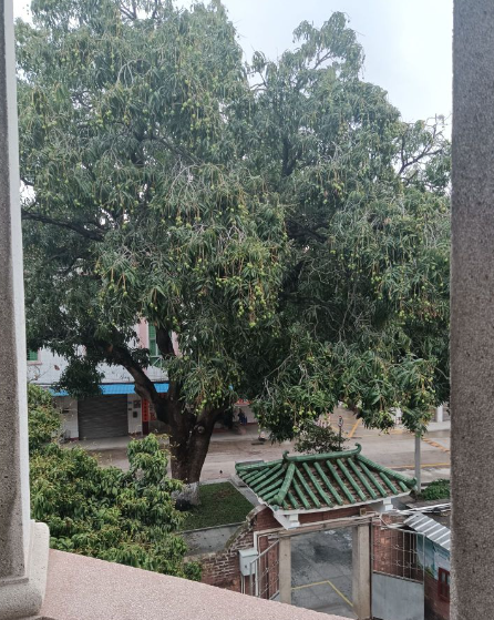 蒋光鼐故居 - 全国335座高尔夫球场实时预订-高球爱好者一站式订场平台