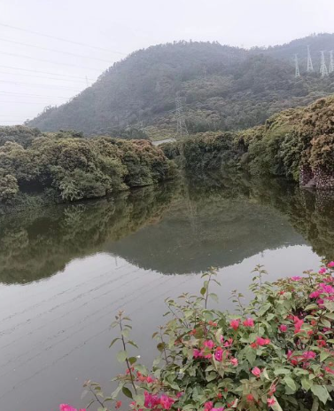 荔林公园 - 全国335座高尔夫球场实时预订-高球爱好者一站式订场平台