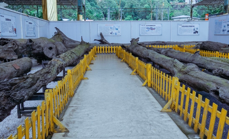 观音山古树博物馆 - 全国335座高尔夫球场实时预订-高球爱好者一站式订场平台