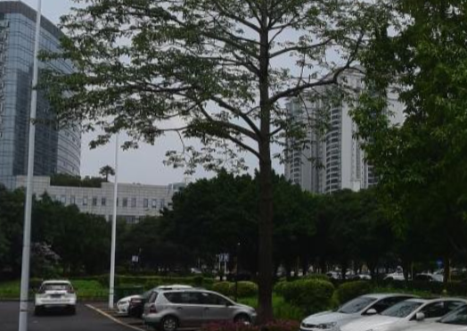 1620CLUB - 全国335座高尔夫球场实时预订-高球爱好者一站式订场平台