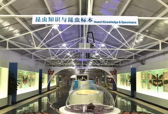 深圳昆虫科技馆 - 全国335座高尔夫球场实时预订-高球爱好者一站式订场平台